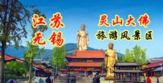 男生的小鸡鸡插入女生小鸡鸡里在线免费观看江苏无锡灵山大佛旅游风景区