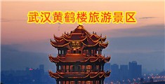 美女被大鸡巴插网站