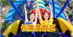 大鸡吧插骚穴视频