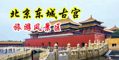 男女靠逼网站中国北京-东城古宫旅游风景区