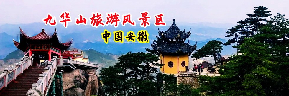 操屄视频网页版