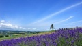 操比电影网站日本一地6日游  境外旅游 6880元/人