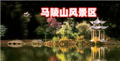美女被几个大汗放在床上操的网站